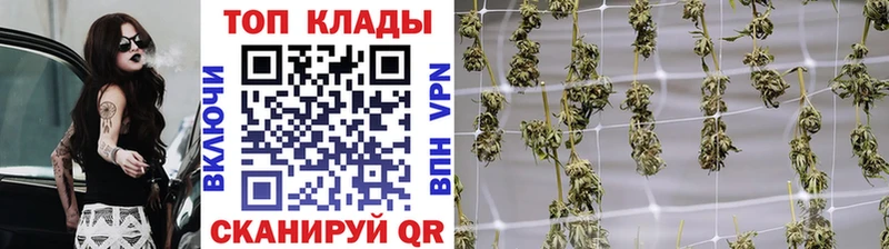 Какие есть наркотики Сибай Гашиш  Конопля  APVP  МДМА  МЕФ 