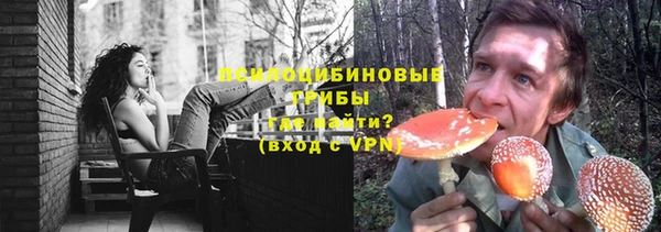 амф Алзамай