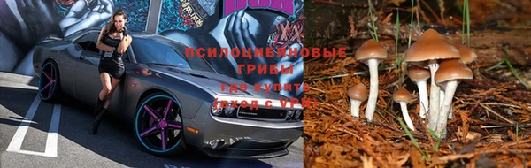 амф Алзамай