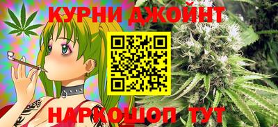 дмт Новозыбков