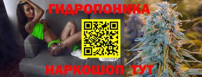 эйфоретик Новодвинск