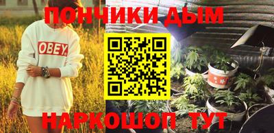 дмт Новозыбков