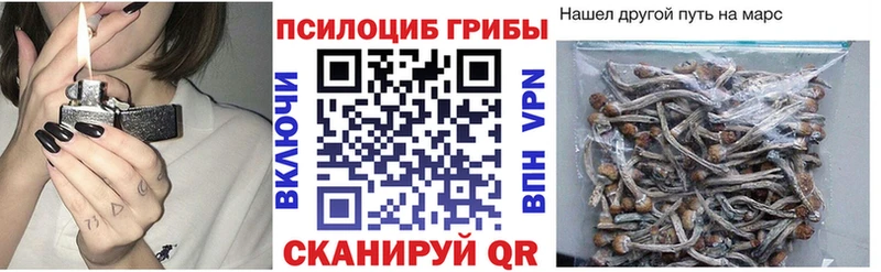 Галлюциногенные грибы MAGIC MUSHROOMS  Сибай 