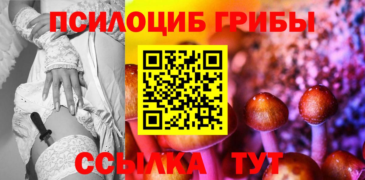 Сибай  Галлюциногенные грибы Psilocybe  Вход с VPN  где найти наркотики  Галлюциногенные грибы Cubensis 