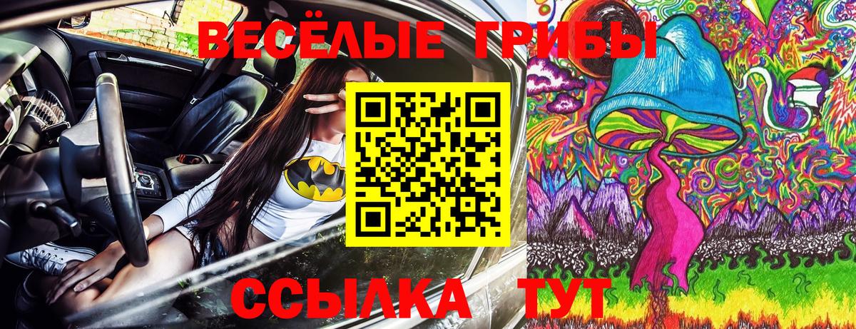 Псилоцибиновые грибы Magic Shrooms Сибай